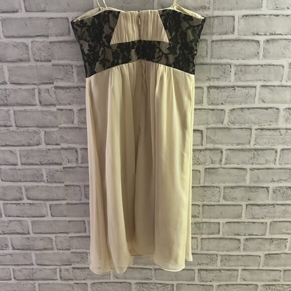 Max and Cleo by BCBG size 2 sleeveless cocktailwedding chiffon - Picture 6 of 8